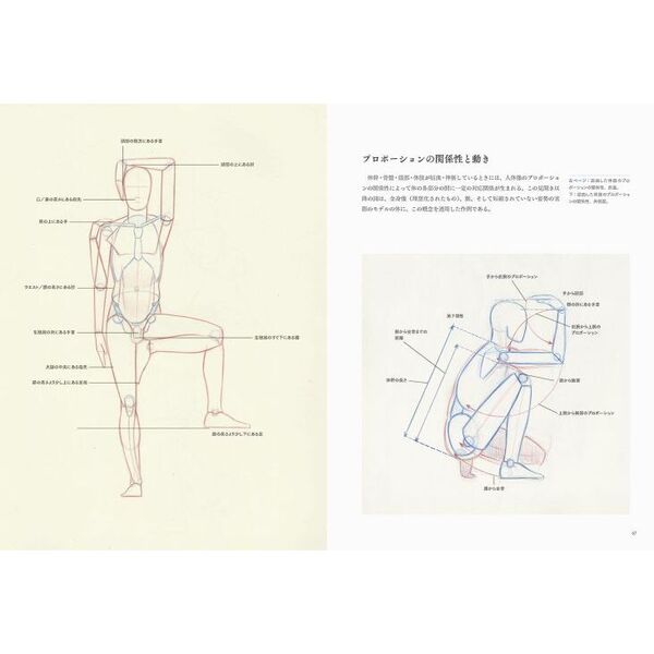 目で覚える動きの美術解剖学