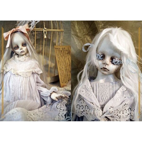 DOLLS 田中流球体関節人形写真集 2 瞳に映る永遠の記憶 通販