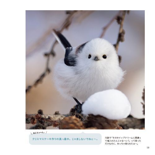 集英社 - シマエナガ 3月のシマエナガさん😊 #シマエナガ #longtailedtit #wildbird