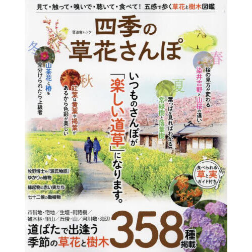盆栽芸術 天 小林國雄の世界 盆栽芸術－天－ 小林国雄の世界 通販｜