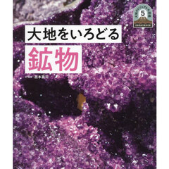 大地のビジュアル大図鑑　日本列島５億年の旅　５　大地をいろどる鉱物
