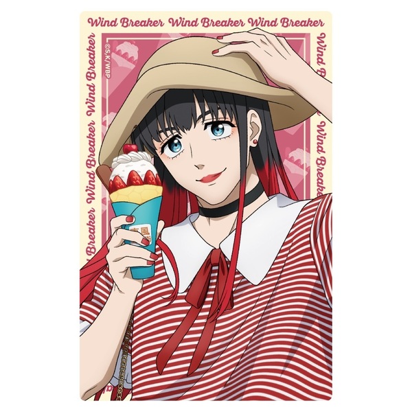 WIND BREAKER ウィンブレ 椿野佑 WIND BREAKER（ウィンブレ）』椿野 佑（つばきのたすく）解説