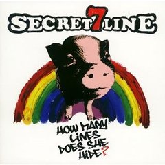 How　many　lines　does　she　hide？