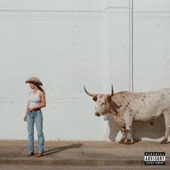 ケイシー・マスグレイヴス／ミドル・オブ・ノーホエア（CD）