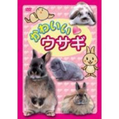 かわいい ウサギ（ＤＶＤ）