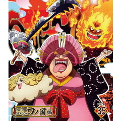 ONE PIECE ワンピース 20th SEASON ワノ国編 piece.35（Ｂｌｕ－ｒａｙ）