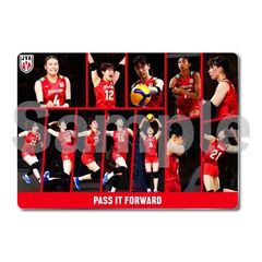 【バレーボール女子日本代表】メタルディスプレイ コラージュB4