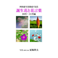 四枚組写真構成で見る誕生花と花言葉１０～１１月編