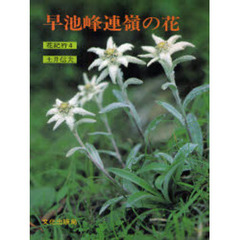 早池峰連嶺の花