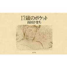 １７歳のポケット