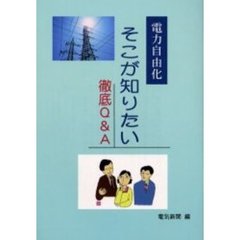 電力自由化そこが知りたい徹底Ｑ＆Ａ