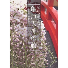 江戸の薫り漂う亀戸天神の藤　その歴史から手入れ法まで