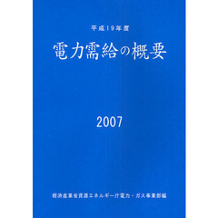 電力需給の概要　平成１９年度