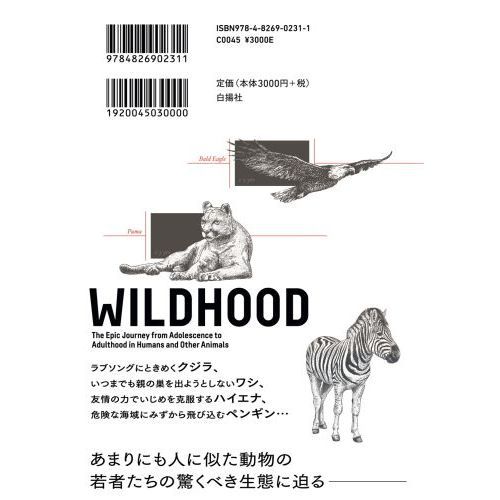 ＷＩＬＤＨＯＯＤ野生の青年期　人間も動物も波乱を乗り越えおとなになる