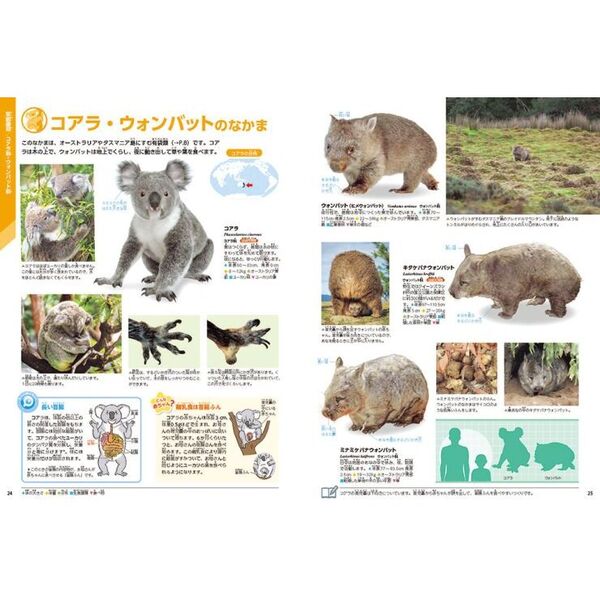 動物 新版 動物 新版｜学研の図鑑LIVE｜学研の図鑑（Gakken）