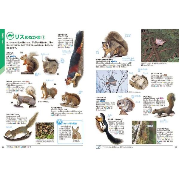 動物 新版 動物 新版｜学研の図鑑LIVE｜学研の図鑑（Gakken）