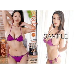 MEN’S DVD増刊　gra fan vol.3【セブンネット限定特典：風吹ケイ ポストカード1枚付き（Ａ）】