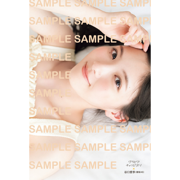 グラビアチャンピオン VOL.11【セブンネット限定特典：谷口愛季（櫻坂