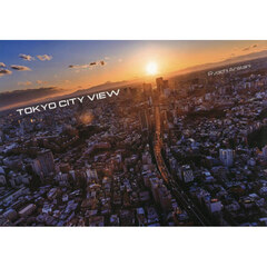 ＴＯＫＹＯ　ＣＩＴＹ　ＶＩＥＷ　Ｆｒｏｍ　Ｒｏｐｐｏｎｇｉ　Ｈｉｌｌｓ　Ｏｂｓｅｒｖａｔｉｏｎ　Ｄｅｃｋ