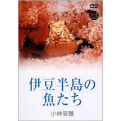 大自然ライブラリー 伊豆半島の魚たち 小林安雅（ＤＶＤ）