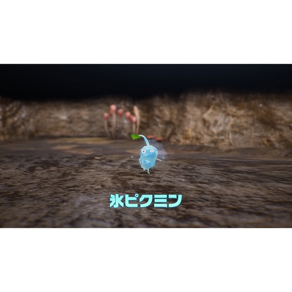 Nintendo Switch Pikmin 4（ピクミン 4）【限定特典なし】 通販