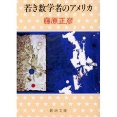 若き数学者のアメリカ