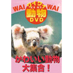 ＤＶＤ　かわいい動物大集合！