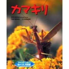 ドキドキいっぱい！虫のくらし写真館　８　カマキリ