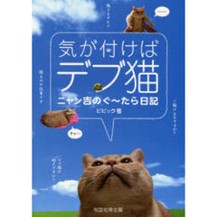 気が付けばデブ猫　ニャン吉のぐ～たら日記