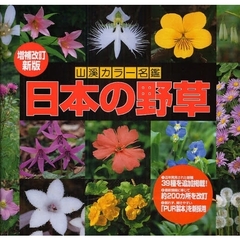 日本の野草　増補改訂新版