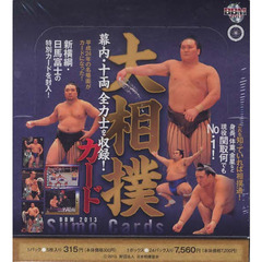 ＢＢＭ　’１３　大相撲カード　ＢＯＸ