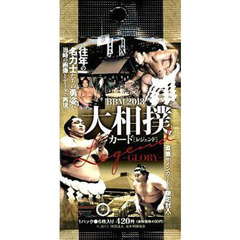 ＢＢＭ　’１３　大相撲カードレ　ＰＡＣＫ