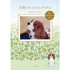 天使になったシュクちゃん　世界一愛された犬の七年半