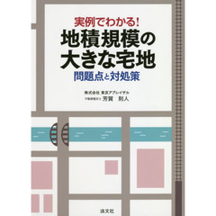 実例でわかる！地積規模の大きな宅地　問題点と対処策