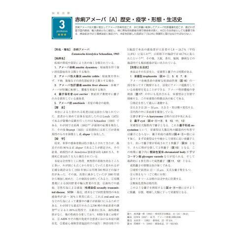 獣医組織学 第八版 DVD付き 獣医組織学 第八版 日本獣医解剖学会 編 Amazon | 獣医組織学
