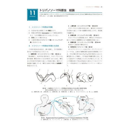 小動物の臨床薬理学 医動物学 改訂8版 通販｜セブンネットショッピング