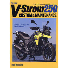 スズキＶストローム２５０カスタム＆メンテナンス