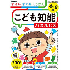 こども知能パズルＤＸずけい・すいり・くうかん　４～６歳