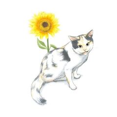 続 ミケちゃんとやすらぎさん