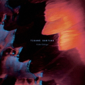 ֥ͥåȥåԥ󥰤㤨VIDA?CODIGOפβǤʤ2,750ߤˤʤޤ