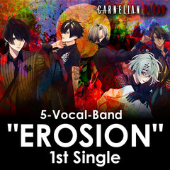 5-Vocal-Band  "EROSION" 1st Single  from CARNELIAN BLOOD【コメントカード付 毛布生地ダイカットクッションキーホルダー2個（トキシン・ヨル）】セット