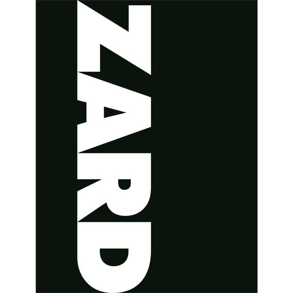 入手困難】ZARD ART PHOTOGRAPHY PANEL