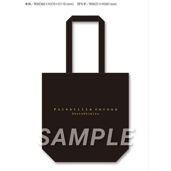 ★大人気商品★ 清水翔太／Pulsatilla cernua（通常盤／CD）（セブンネット限定 邦楽