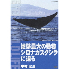 中村宏治／地球最大の動物 シロナガスクジラに迫る（ＤＶＤ）