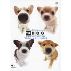 THE DOG ベスト・セレクション ぺちゃこチーム ～コーギー、チワワ、柴、パピオン～（ＤＶＤ）