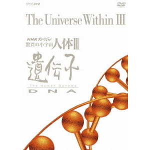 NHKスペシャル 驚異の小宇宙 人体 III 遺伝子 DNA DVD-BOX ＜新価格