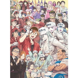 はたらく細胞BLACK 7＜完全生産限定版＞（DVD） 通販｜セブンネット