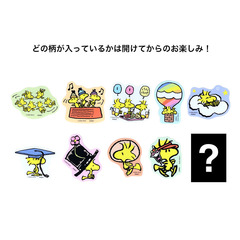 ダイカットアクリルマグネット　ＰＮＷＳ２