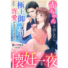 懐妊一夜～赤ちゃんを宿したら極上御曹司の盲愛が止まりません～