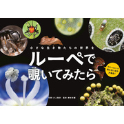 小さな生き物たちの世界を　ルーペで覗いてみたら